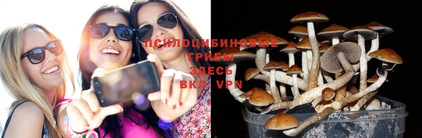 прущий лед Алексин