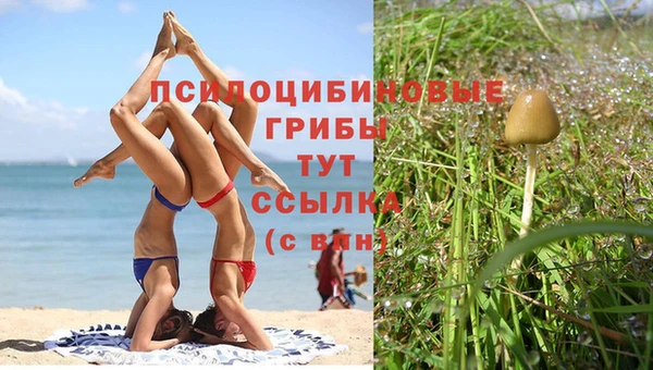 прущий лед Алексин