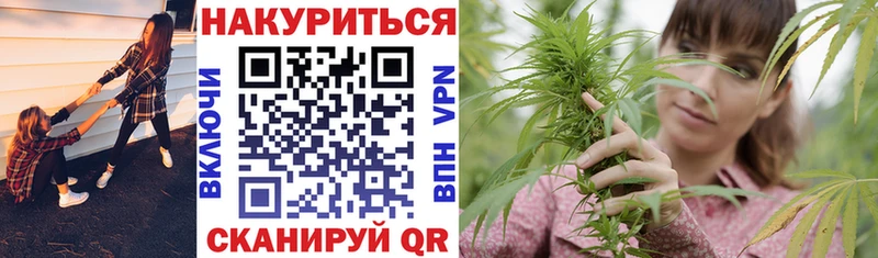 что такое   Кувшиново  Бошки марихуана OG Kush 